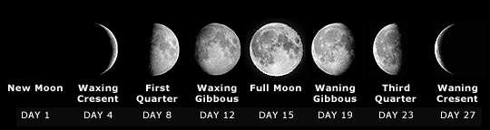 Key stages of lunar cycle