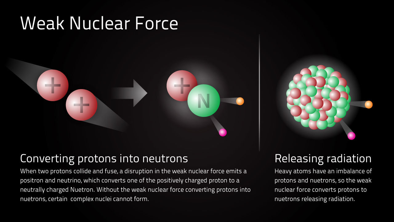 Strong And Weak Nuclear Force Difference