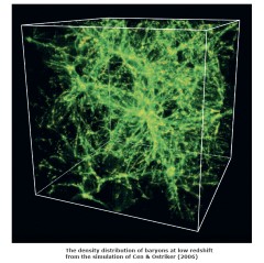 Distribution of Baryonic Matter: The density distribution of baryons in the modern Universe from a simulation by Cen & Ostriker (2006). Much of the mass of the missing baryons may lie within the filaments shown here connecting the higher density regions of matter. This image is the end result of a computer simulation that begins with smoothly distributed gas and follows the clumping of the gas that occurs because of gravity over the entire age of the Universe. The volume shown is 1000 times the volume of the Milky Way Galaxy. For more information about the simulation, see Cen, R. & Ostriker, J. P. 2006, ApJ, 650, 560.