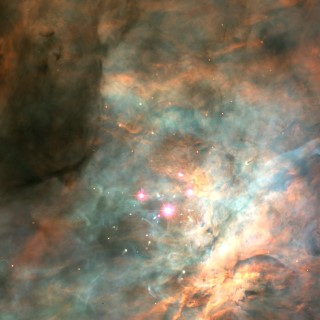 The Orion Nebula's Trapezium Cluster:  Hubble Space Telescope image of the Orion Nebula. The Trapezium is the set of four optically visible stars at the core of the nebula.
