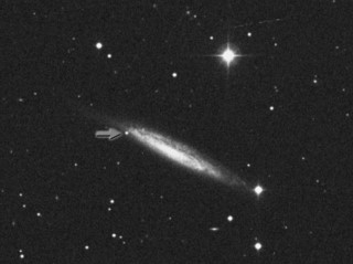 NCG4157 with Arrow Pointing to Zwicky’s 1937 Supernova: It took five months of observing on the 18-inch Schmidt telescope at Palomar Observatory for Zwicky to identify a supernova, but he finally did in a spiral galaxy in the constellation of Ursa Major.