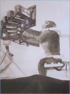 Electronic Game for Monkeys: Image of the electronic game for Monkeys that Blair Savage helped design and build during his industrial cooperative experience with the Cornell University Engineering Program.