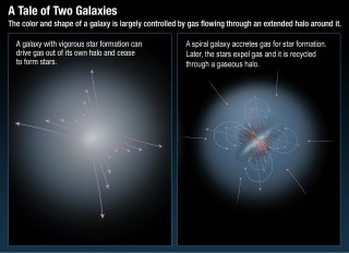 A Tale of Two Galaxies: All modern simulations of galaxy formation find that they cannot explain the observed properties of galaxies without modeling the complex accretion and feedback processes by which galaxies acquire gas and then later expel it after chemical processing by stars. Hubble spectroscopic observations show that galaxies like our Milky Way recycle gas while galaxies undergoing a rapid starburst of activity will lose gas into intergalactic space and become red and dead.